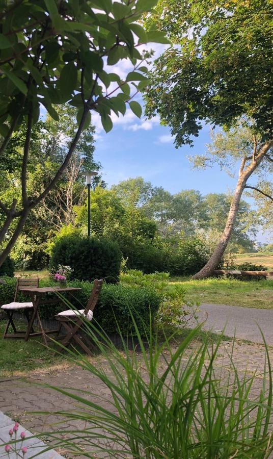 Gruenblau Relax Pension & Apartments 로스토크 외부 사진